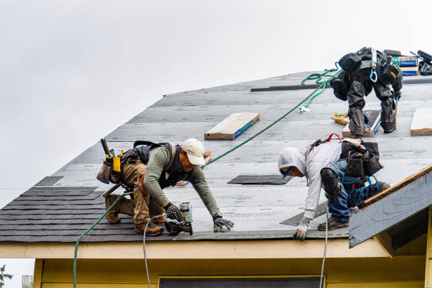 Professional Roofing technician working in Lake City, PA